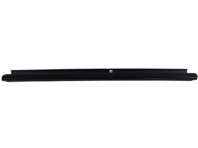 GM 15136070 Sealing Strip Assembly, Rear Side Door Window Outer