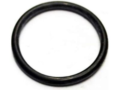 Chevrolet Express Fuel Injector O-Ring - 94173412