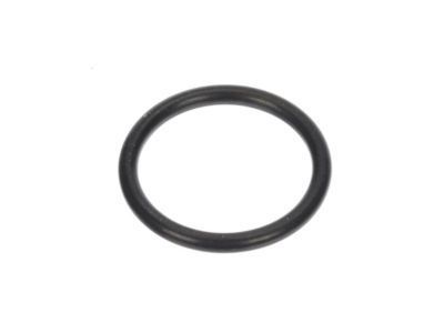 GM 10189205 Seal,Thermostat Bypass Pipe(O Ring)