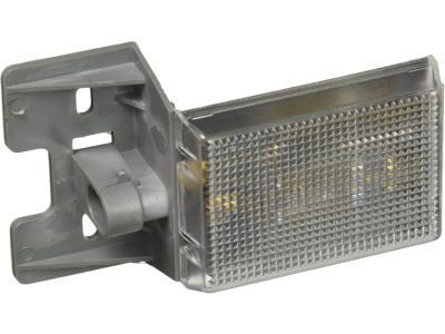 GM 10303617 Lamp Assembly, Underhood