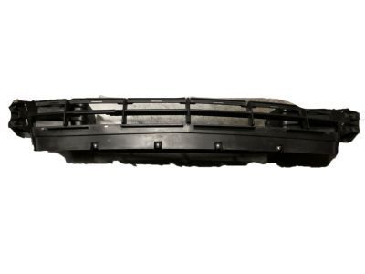 GM 10322190 Grille, Radiator Lower