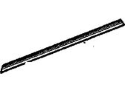 GM 20835968 Weatherstrip, Front Side Door Lower Auxiliary