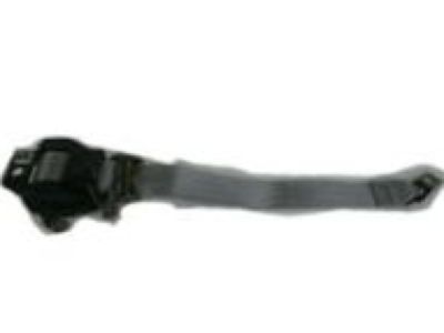 2012 Chevrolet Express Seat Belt - 19258748