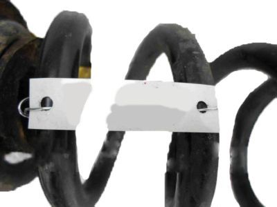 GM 23334607 Rear Coil Spring