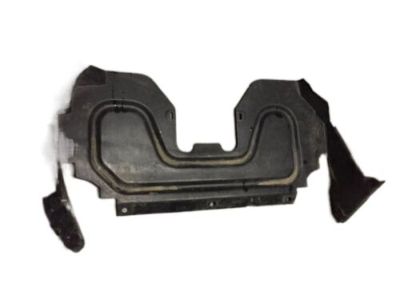 GM 10242724 Baffle, Radiator Air Lower *Black