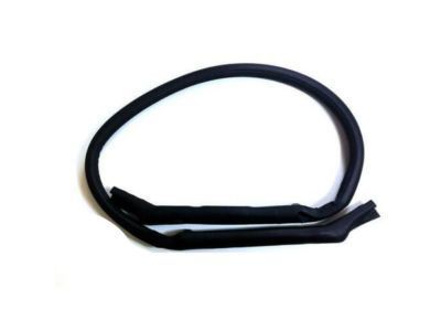 2000 Chevrolet Corvette Weather Strip - 10329158