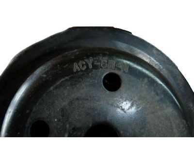 GM 10215266 Pulley, Fan