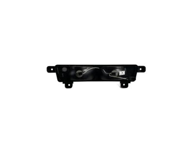 GM 84051216 Lamp Assembly, Rear Fascia Lower Signal