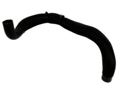 2011 Cadillac CTS Radiator Hose - 25880391