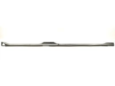 GM 15169656 Molding Assembly, Rocker Panel *Black