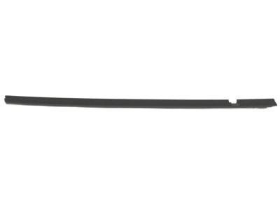 GM 84032653 Sealing Strip Assembly, Front Side Door Window Inner