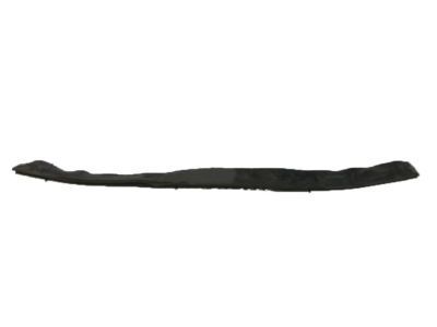 2009 Cadillac STS Weather Strip - 25925190