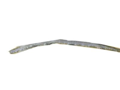 GM 10383150 Weatherstrip Assembly, Rear Side Door Auxiliary