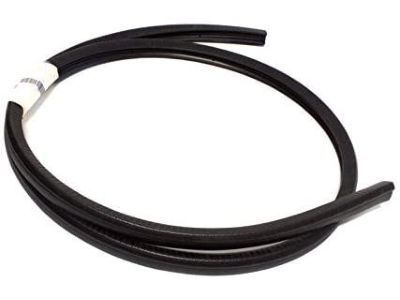 GM 22614342 Weatherstrip Assembly, Roof Side Rail