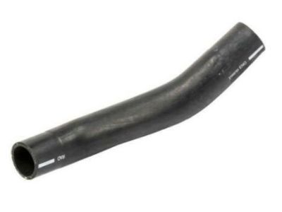 2010 Cadillac DTS Cooling Hose - 21999765