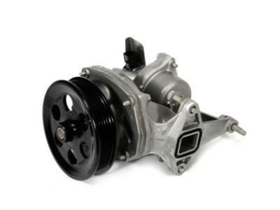 GM 12690253 Water Pump Assembly