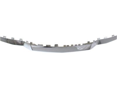 GM 23243083 Plate, Front Bumper Fascia Skid *Chrome M