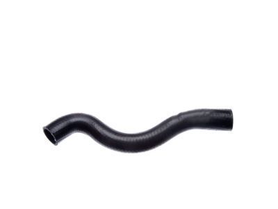 1996 Oldsmobile Cutlass Radiator Hose - 10236565