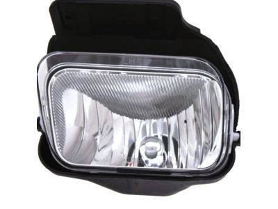 GM 15190982 Lamp,Front Fog