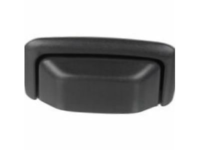 Chevrolet Equinox Tailgate Handle - 5485520