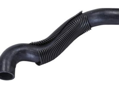 GM 15940317 Radiator Outlet Front Hose (Lower)