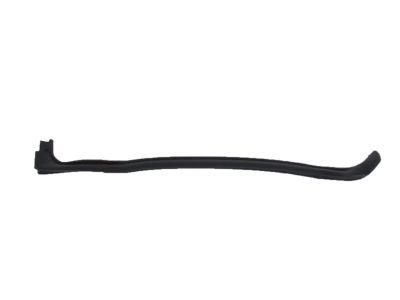 GM 20998459 Sealing Strip Assembly, Rear Side Door Lower Rear Auxiliary