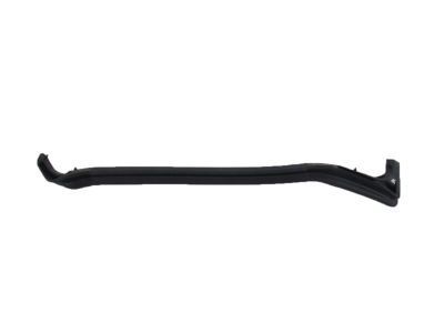 GM 20998459 Sealing Strip Assembly, Rear Side Door Lower Rear Auxiliary