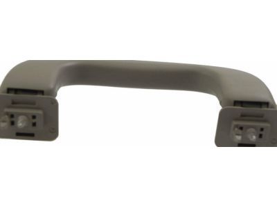 GM 15924263 Handle Asm,Roof Rail Asst *Titanium