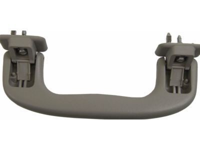 GM 15924263 Handle Asm,Roof Rail Asst *Titanium