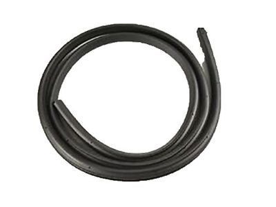 GM 19260468 Weatherstrip Asm,Front Side Door (Body Side) *Ebo*Ebony