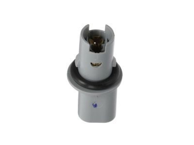 Chevrolet Traverse Light Socket - 25794790