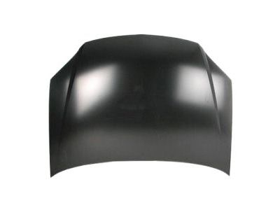 GM 15258957 Hood Asm