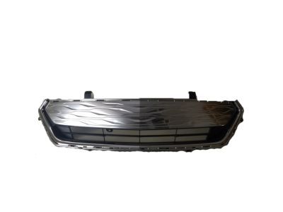 GM 23289648 Grille Assembly, Front Lower