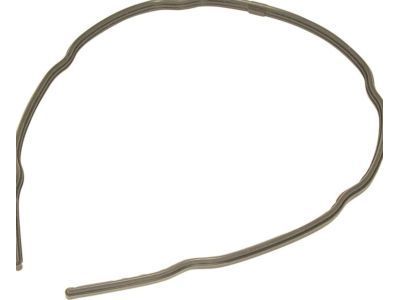Chevrolet Express Timing Cover Gasket - 12556370