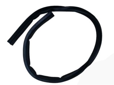 Chevrolet Cruze Weather Strip - 96991919