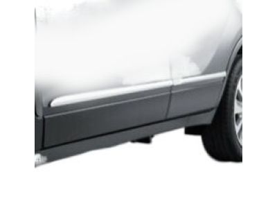 Buick Door Moldings - 95351869