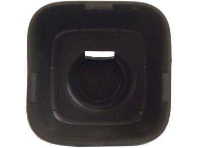 GM 15114227 Cap, Radio Antenna Bracket Stud