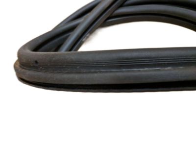 15063155 - Genuine GM Weatherstrip,Front Side Door