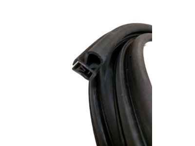 15063155 - Genuine GM Weatherstrip,Front Side Door