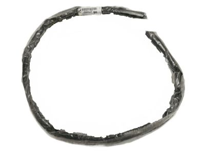 Chevrolet Camaro Weather Strip - 22827637