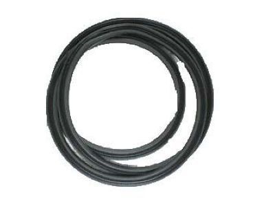 Chevrolet Impala Weather Strip - 20944489