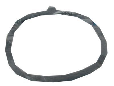 GM 10019632 Gasket, Air Cleaner