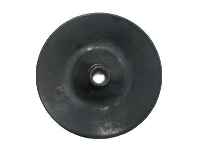 GM 10085755 Pulley,P/S Pump