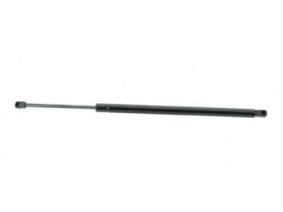 GM 15130344 Strut Assembly, Lift Gate