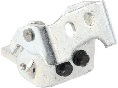 GM 10304599 Hinge Assembly, Front Side Door Lower