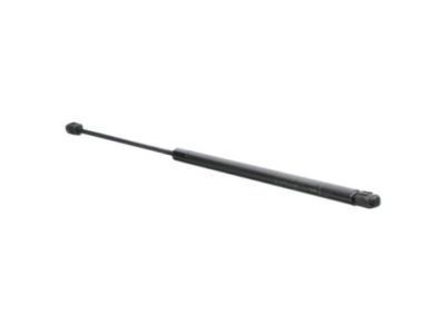 Chevrolet HHR Lift Support - 25992461