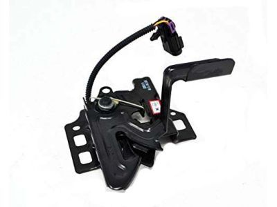 2015 Cadillac CTS Hood Latch - 20761110