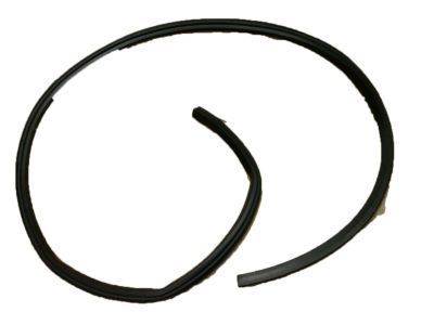 2006 Chevrolet Trailblazer Weather Strip - 15917732