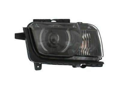 GM 19351951 Headlamp Kit (Service)