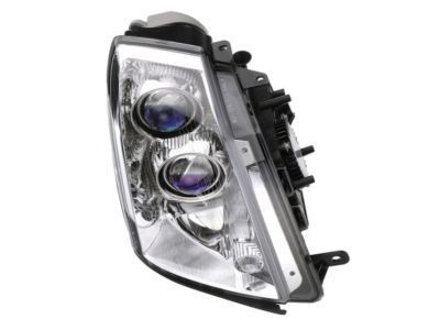 GM 19352119 Headlamp Kit (Service)